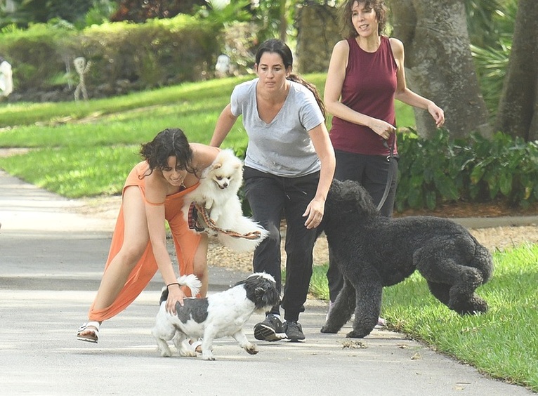 Camila Cabello con sus perros 