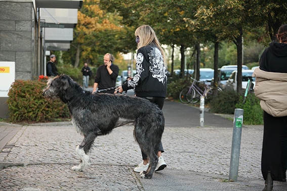 Heidi Klum con Anton, su perro
