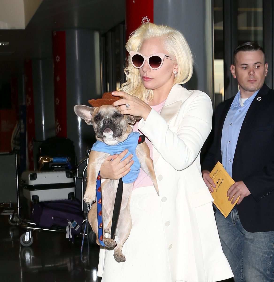 Lady Gaga y sus perros juntos de nuevo