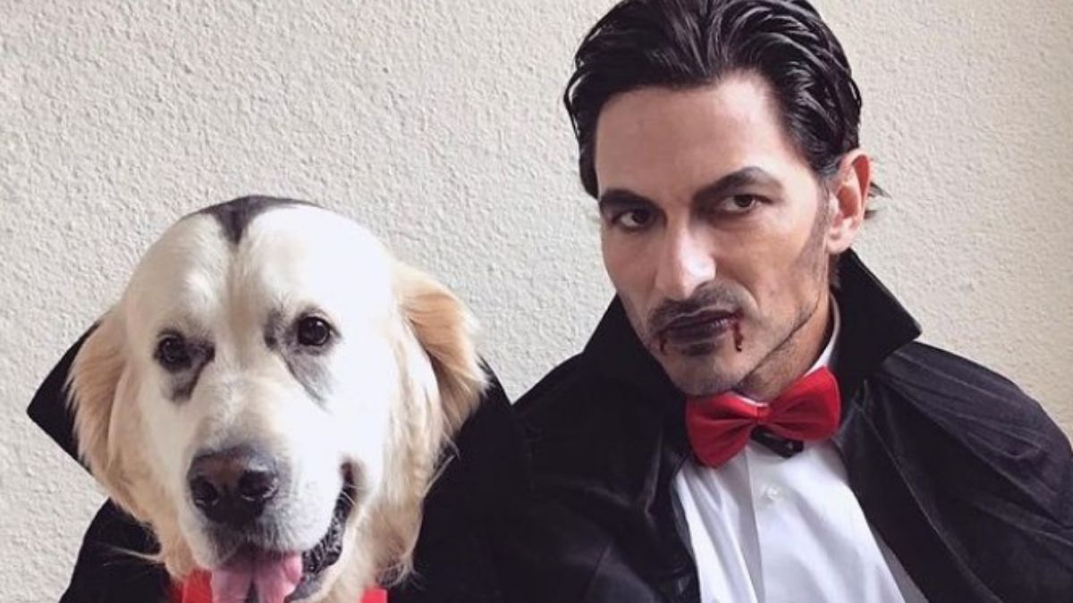 Herry el perro de Andrés Velencoso con Cuenta Instagram