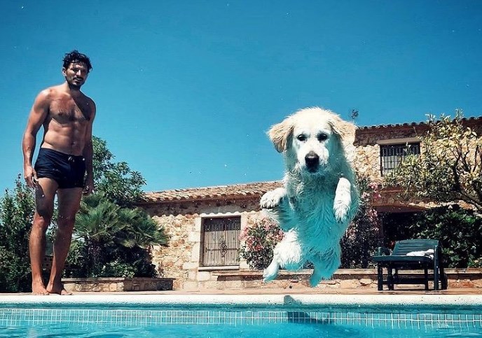 Herry el perro de Andrés Velencoso tiene cuenta Instagram con miles de seguidores