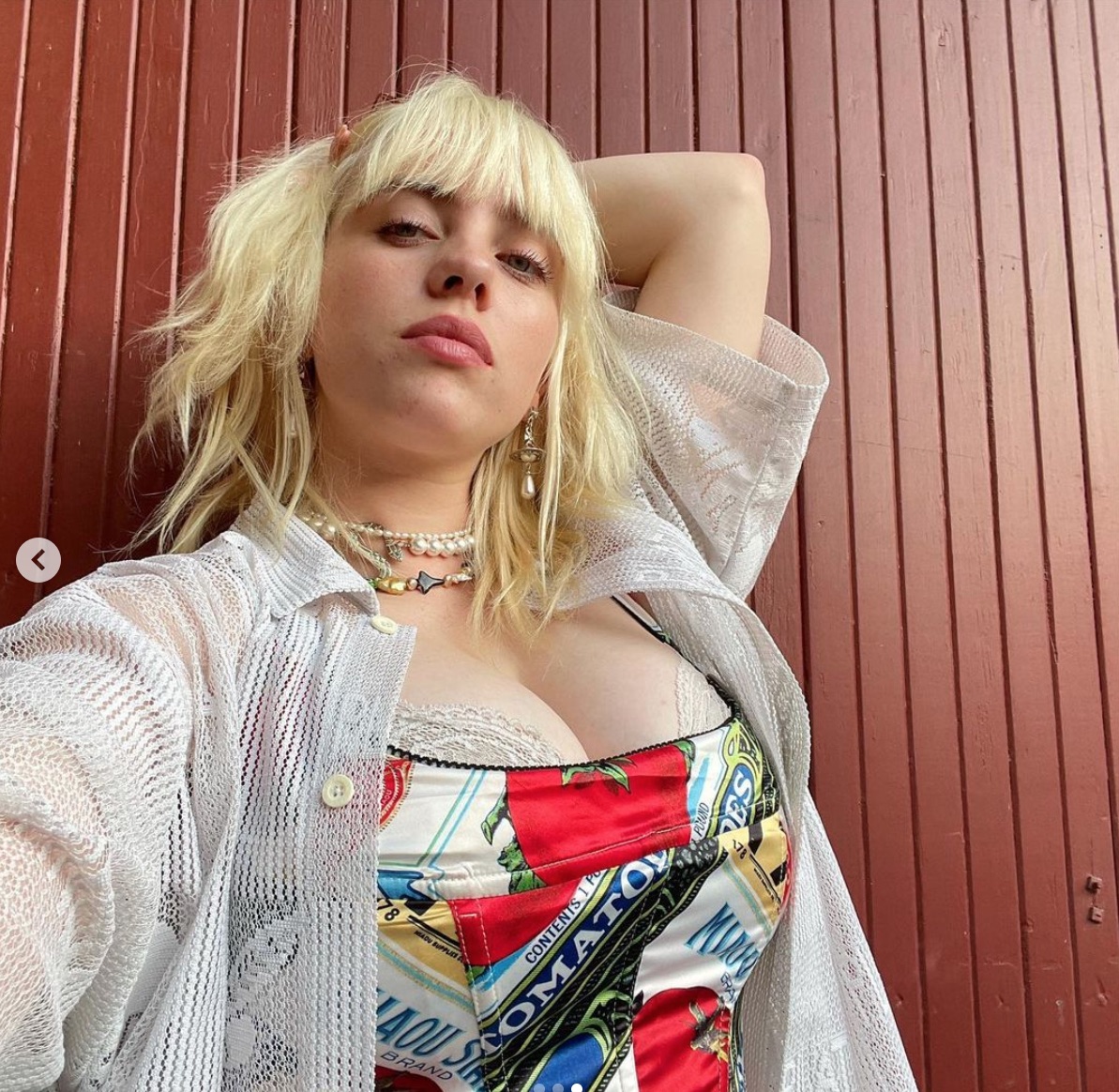 La foto que ha hecho perder a Billie Eilish 100K seguidores en Instagram -  CRUSH.NEWS