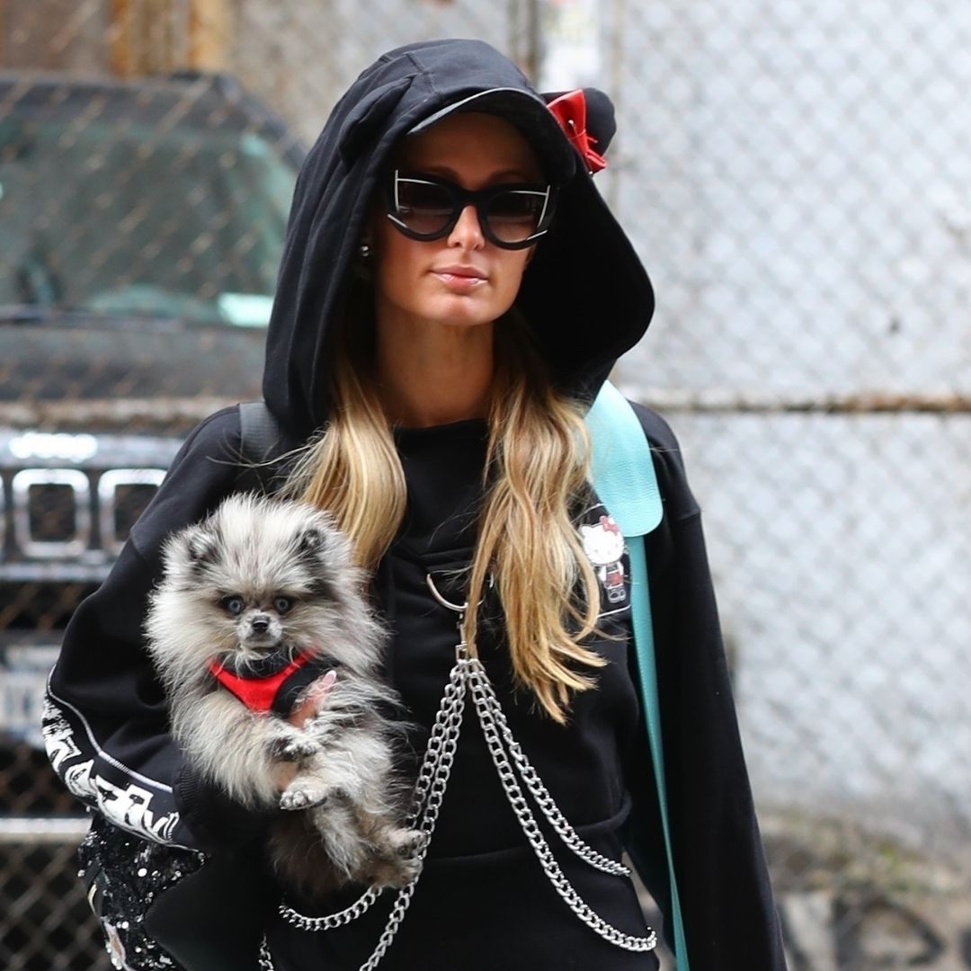 Paris Hilton con su perro