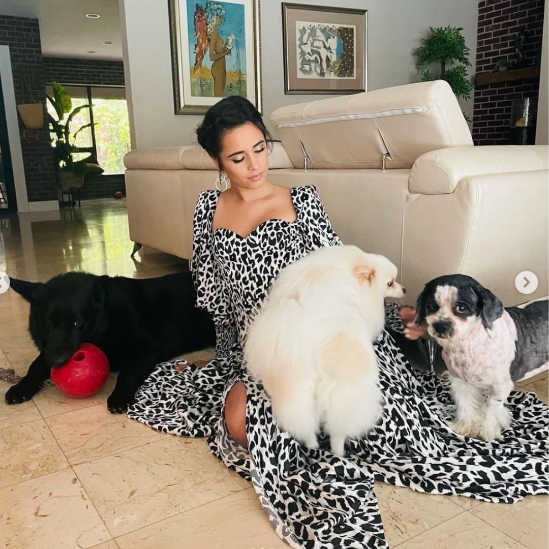 Camila Cabello y sus tres perros